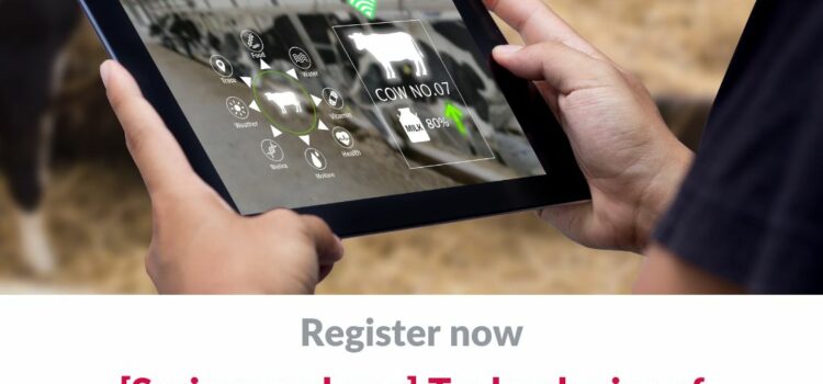 KI presents at ‘Technologies of Sustainability Due Diligence’ Spring Academy at Asser Institute