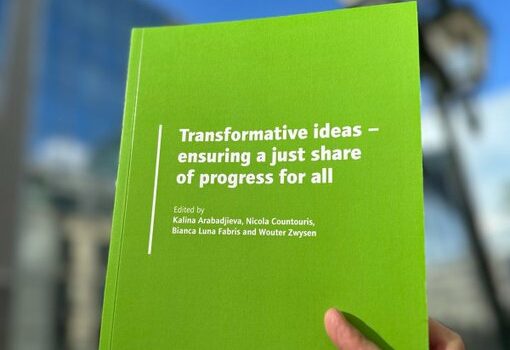 Transformative Ideas: Ensuring a Just Share of Progress for All